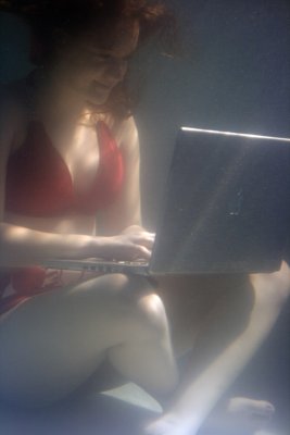 Liquidated Laptops
