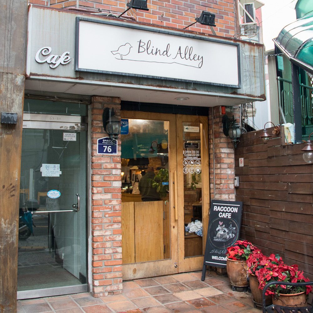🇰🇷 Raccoon Cafe
