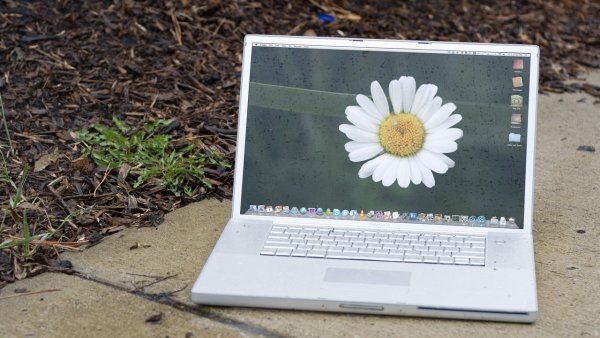 Liquidated Laptops