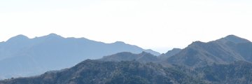 🇺🇸 Higher and Lower