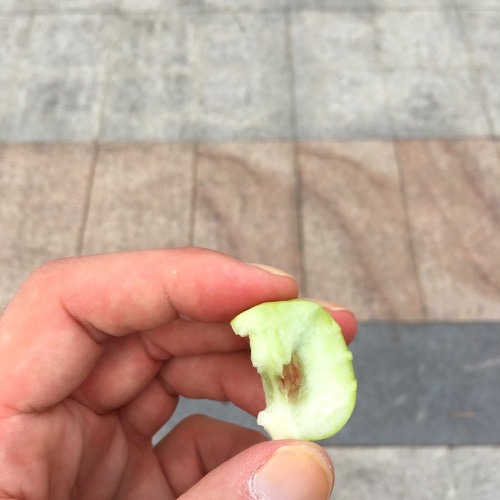 &#x1F1E8;&#x1F1F3; Food I Remembered to Photograph On My Travels To and Thru China