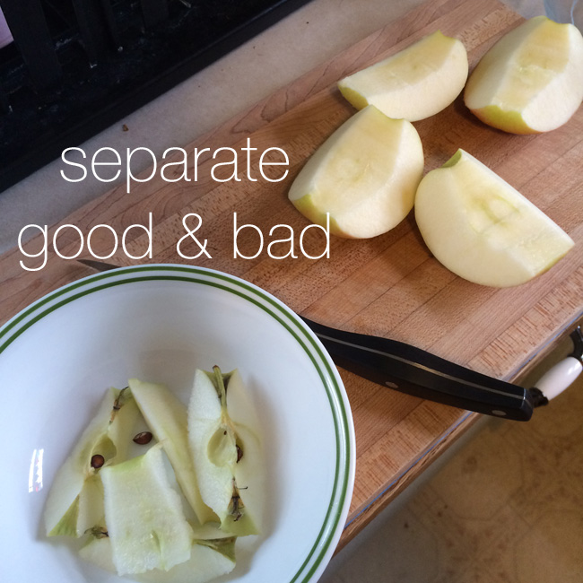Apple Dessert Thingy