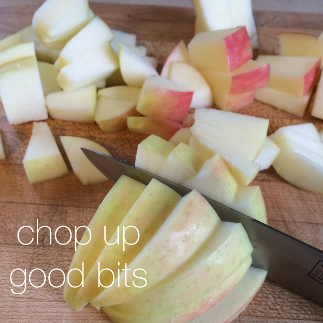 Apple Dessert Thingy