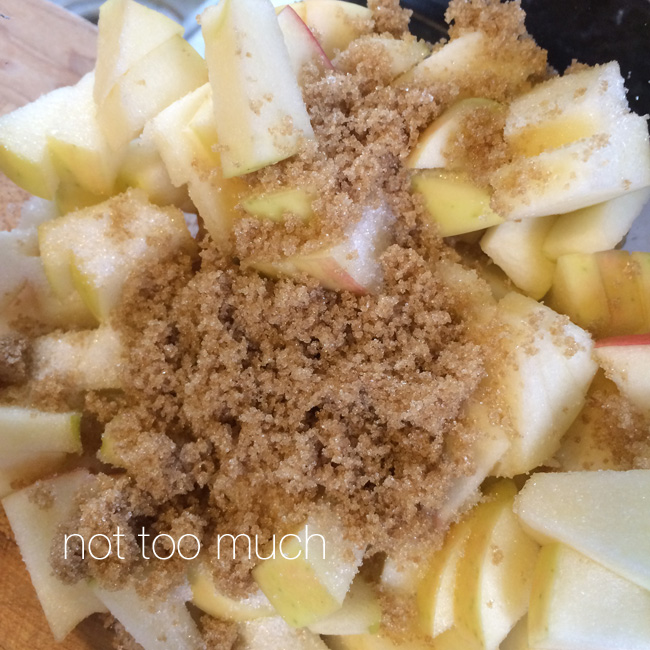 Apple Dessert Thingy