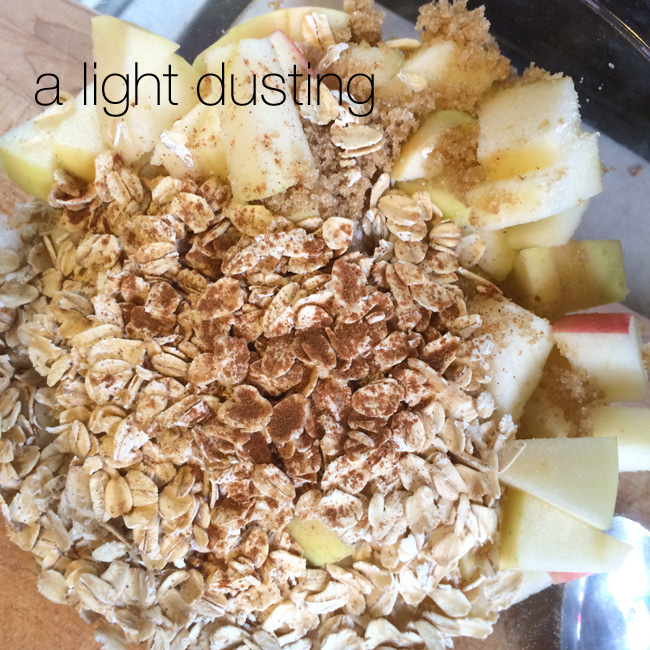 Apple Dessert Thingy