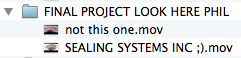 File Name Disasters: Issue 3