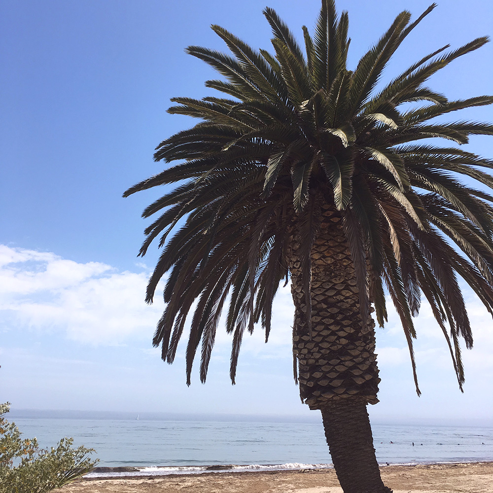 Glimpses of California