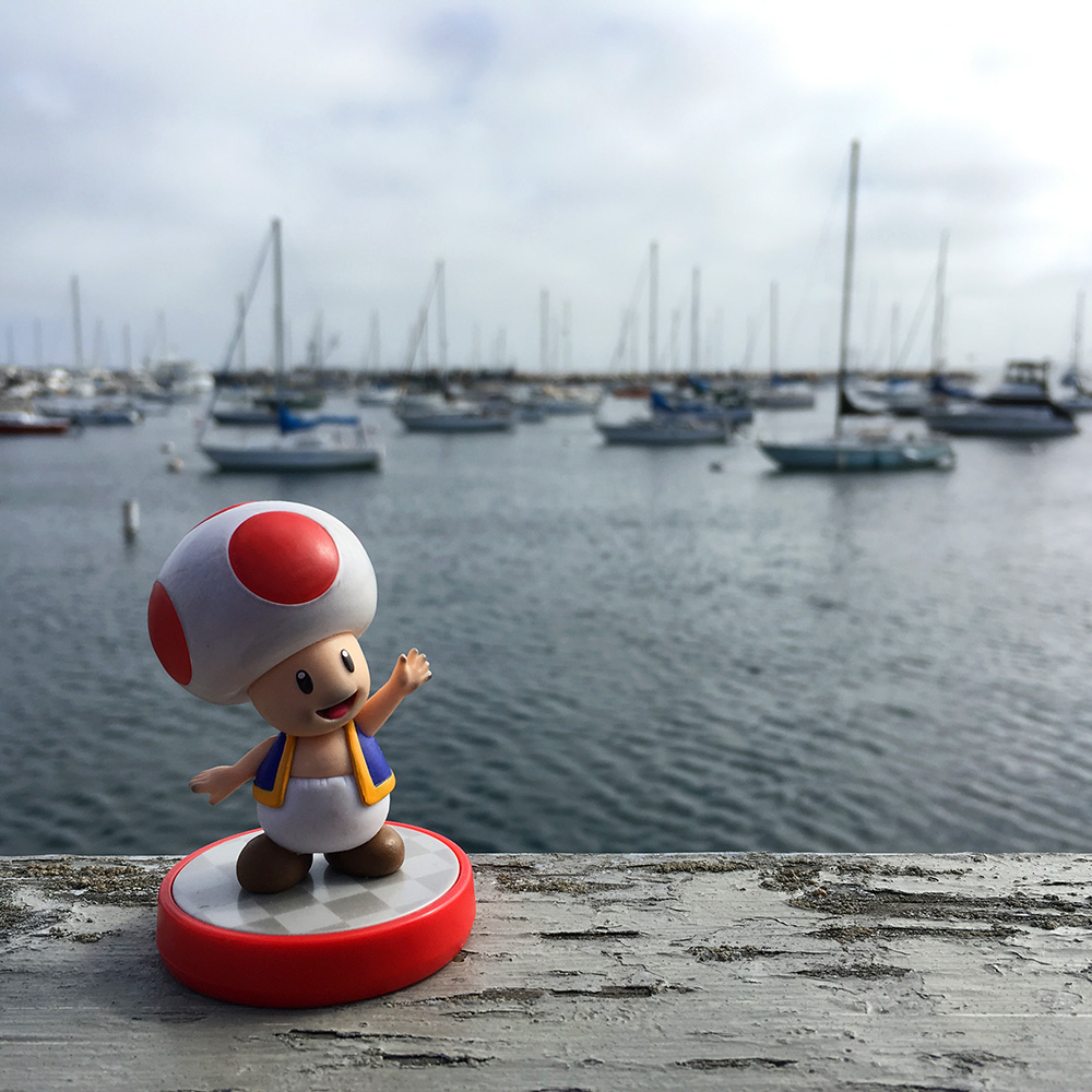 Glimpses of California