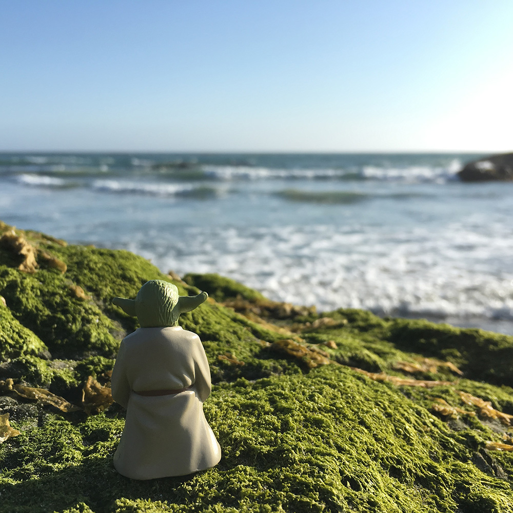Glimpses of California