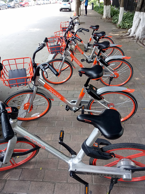 🇨🇳 Bike Sharing
