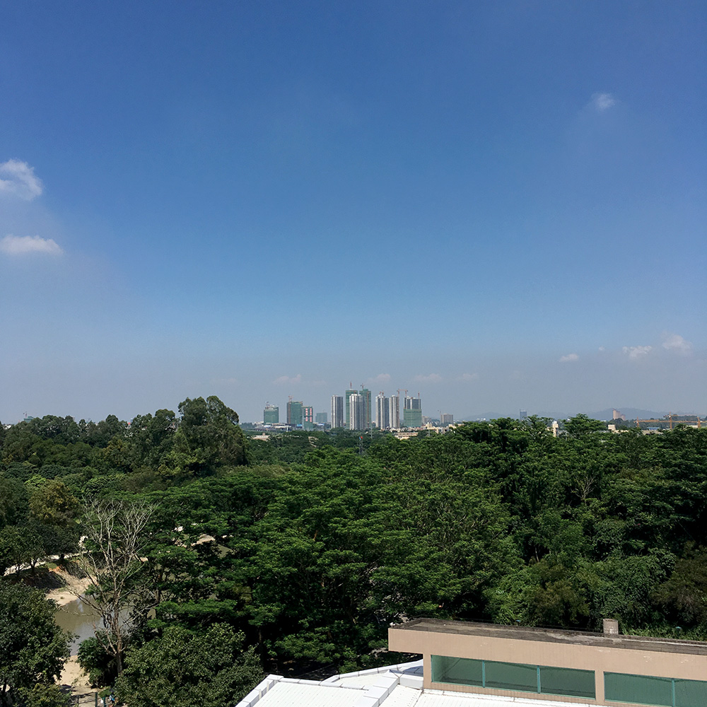 🇨🇳 First Two Weeks at UIC