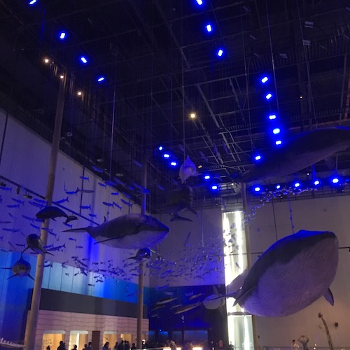 🇨🇳 Guangdong Museum