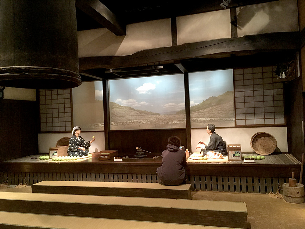 🇯🇵 Japan: Pear Museum