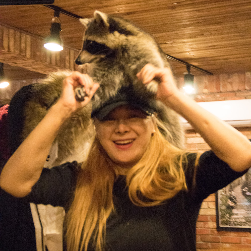 🇰🇷 Raccoon Cafe