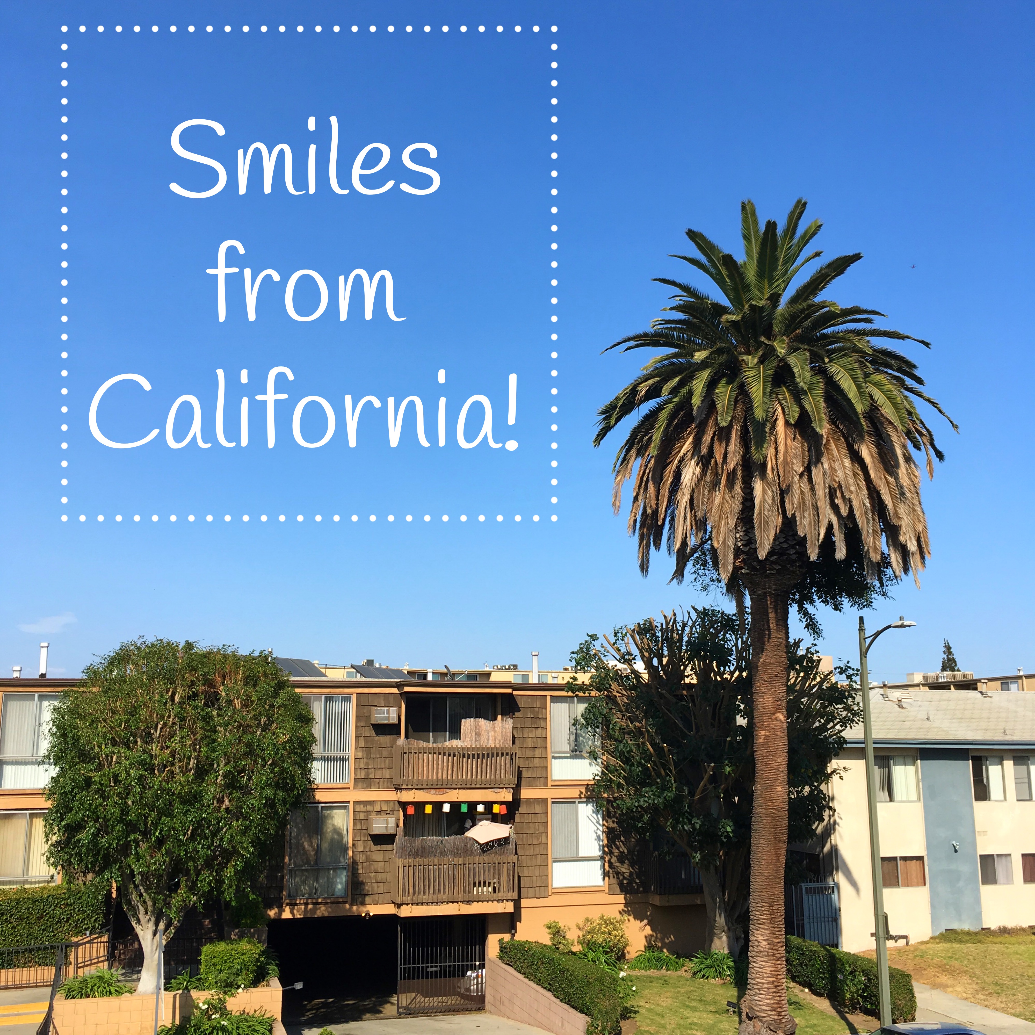 🇺🇸 Travel Part One - MSP to LAX