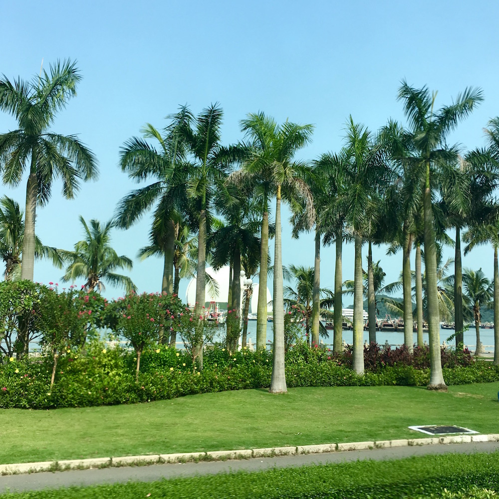 🇨🇳 Travel Part Five - Hong Kong to Zhuhai